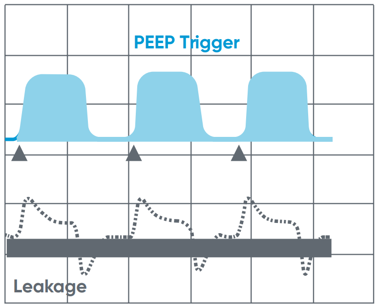 auto.leak.png (41 KB)