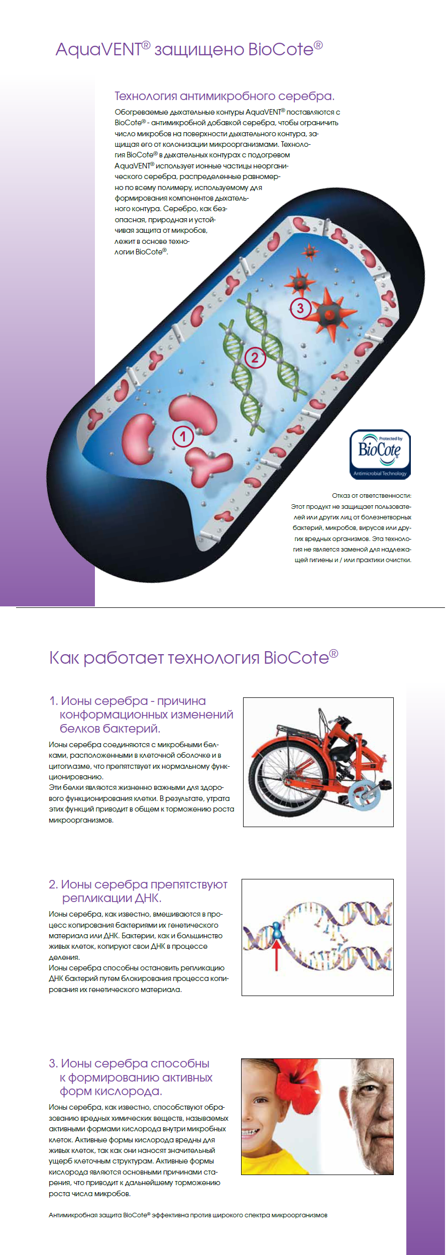 BioCote.png (1.15 MB)