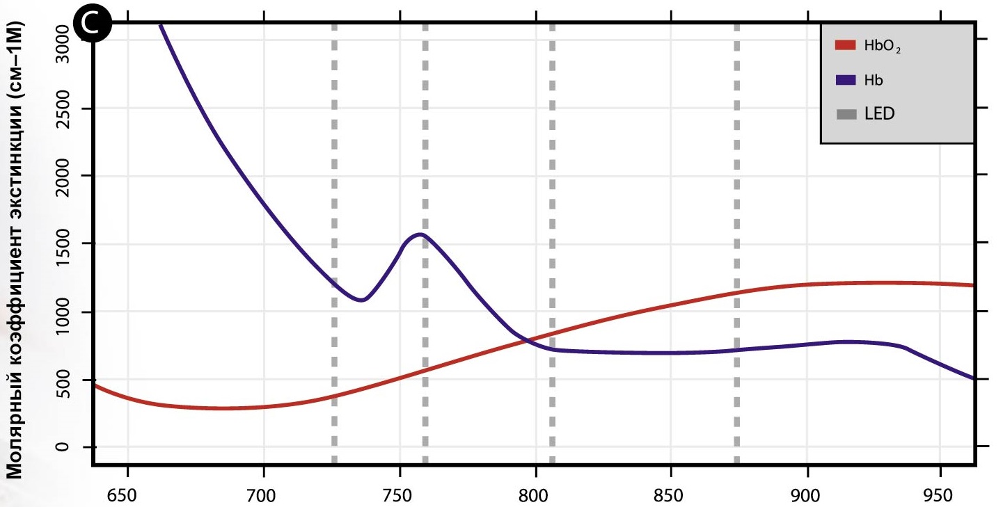 Print-1.jpg (179 KB)